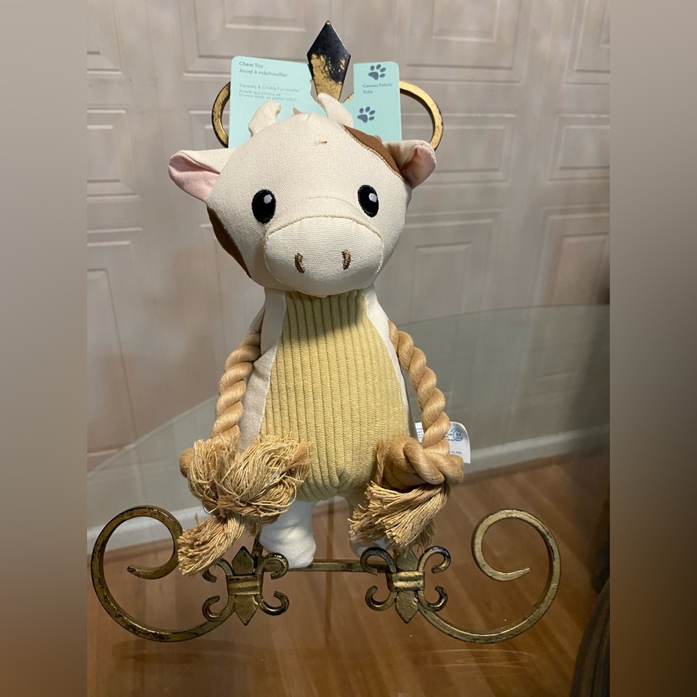 Giftable World 10” Dog Toy  Squeaker  New